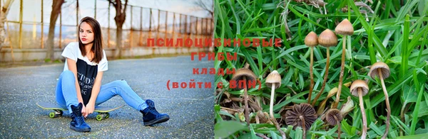 прущая мука Абинск