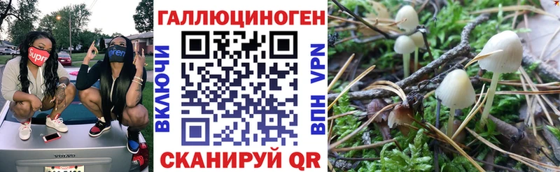 Галлюциногенные грибы мицелий  гидра онион  Тихорецк  наркота 